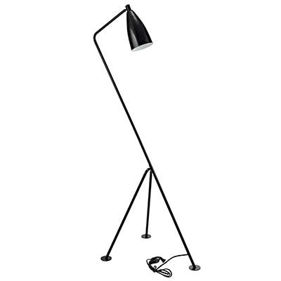 Innuendoubt Floor Lamp