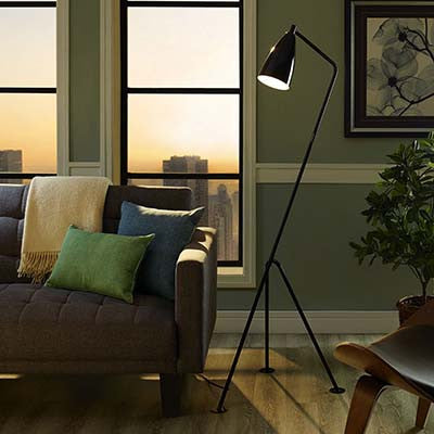 Innuendoubt Floor Lamp