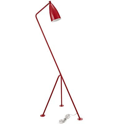 Innuendoubt Floor Lamp