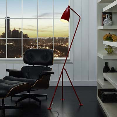 Innuendoubt Floor Lamp