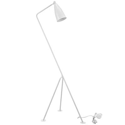 Innuendoubt Floor Lamp
