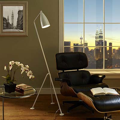 Innuendoubt Floor Lamp