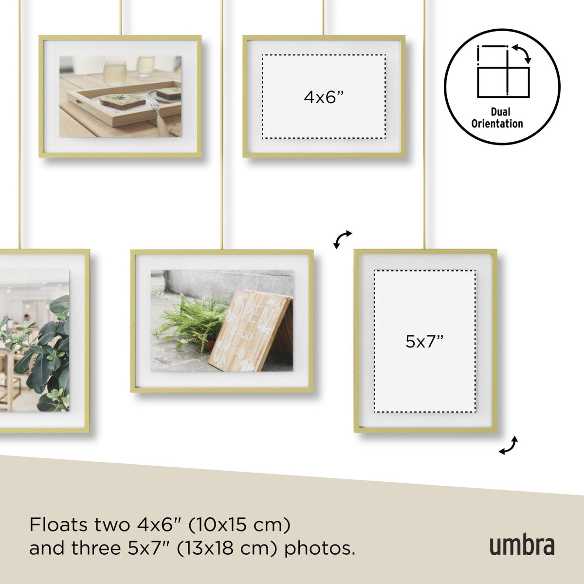 Exhibit Wall Picture Frames, Set of 5