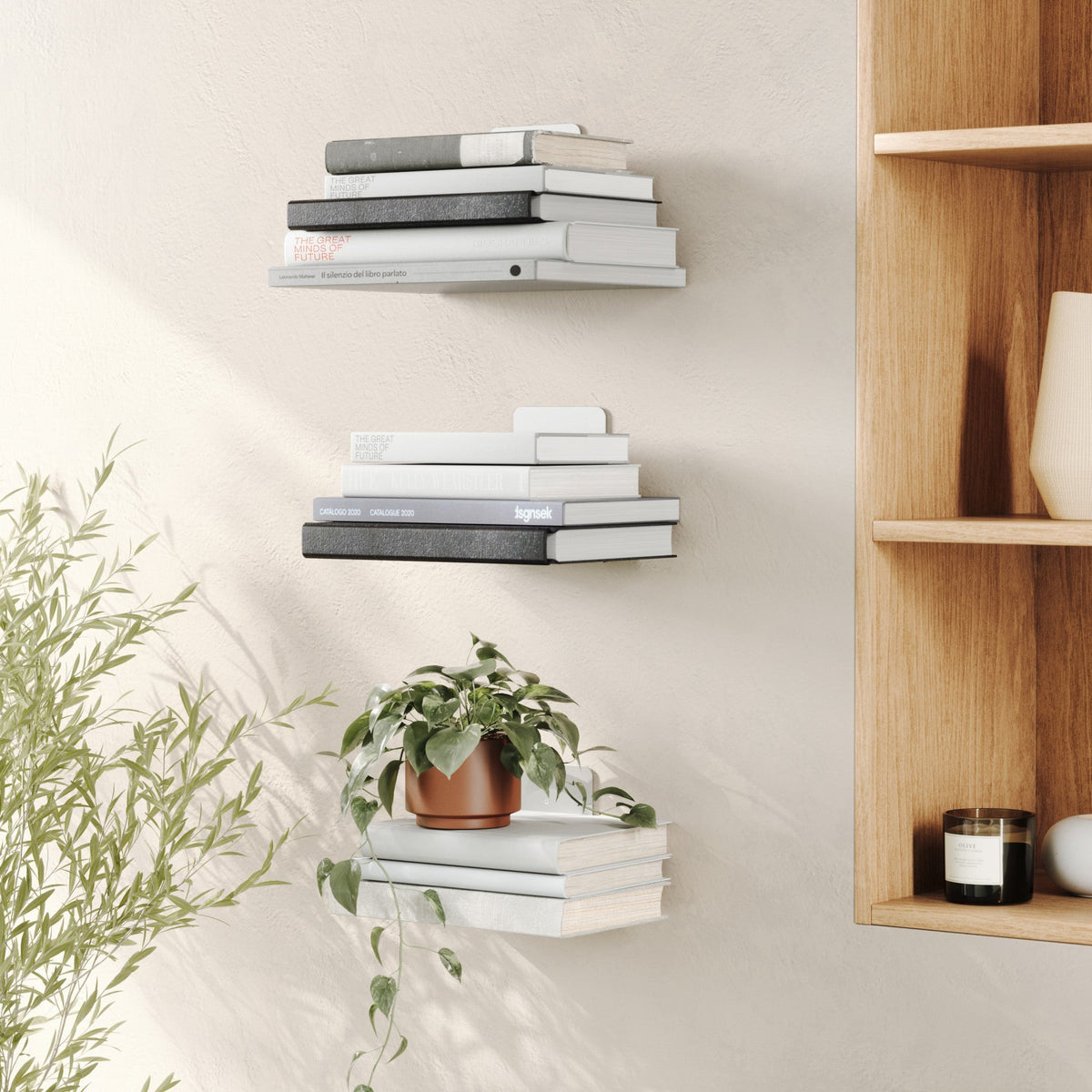 Conceal Shelves, Set Of 3