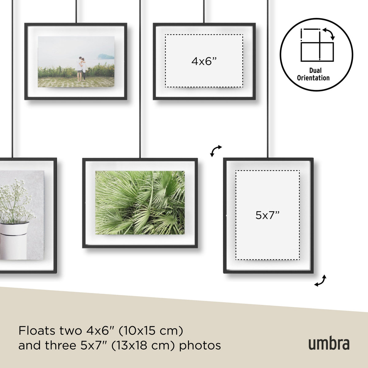 Exhibit Wall Picture Frames, Set of 5